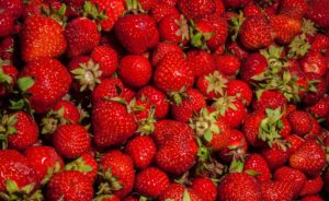 fraises